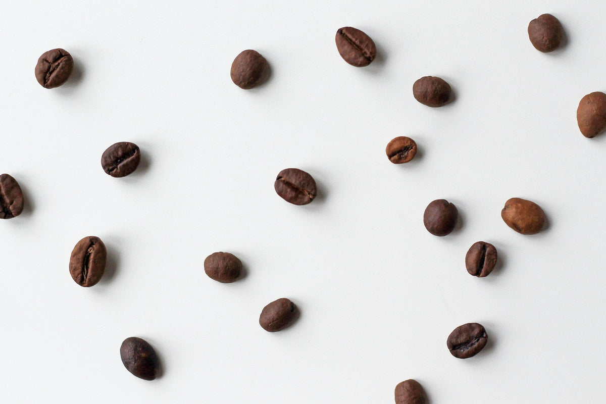Arabica Robuste Kaffeebohnen Vergleich Unterschiede Vorteile